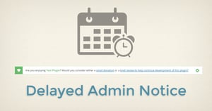 Delayed Admin Notice