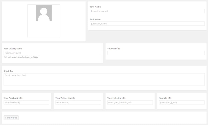 Screenshot of our Profile Editor form in the WordPress backend