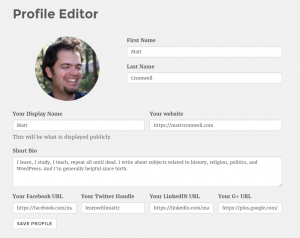 Final Profile Editor Screenshot