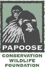 Papoose Conservation Wildlife Foundation